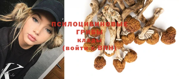 ALPHA PVP Володарск